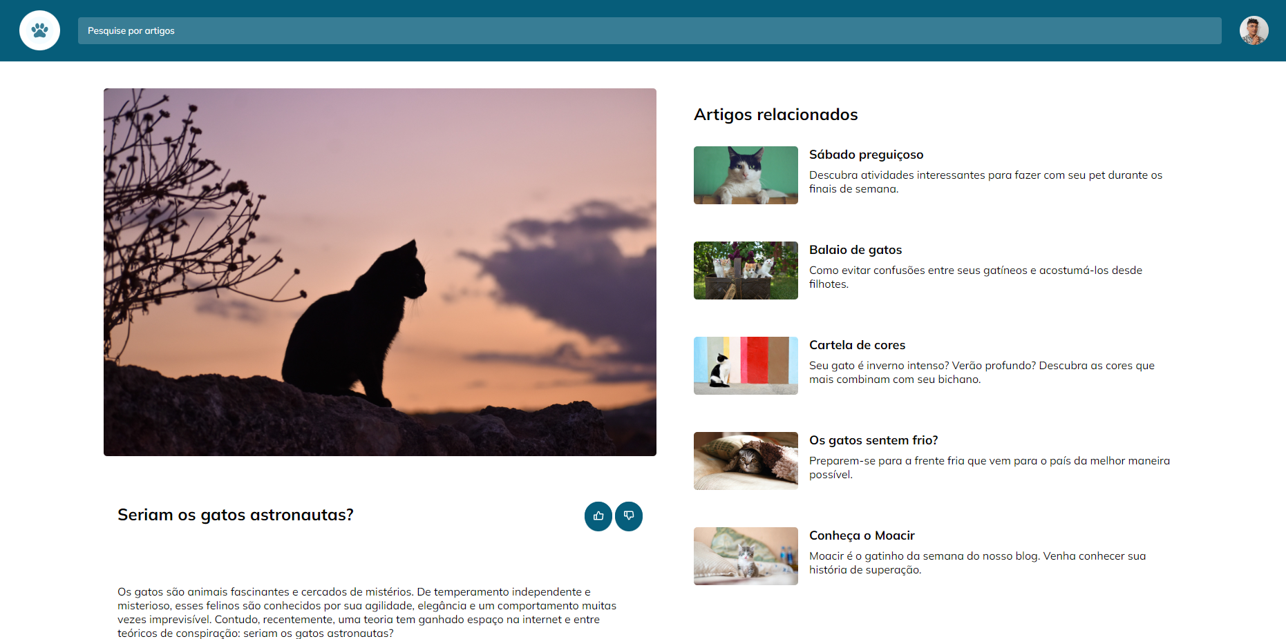 foto de um projeto de blog de gatos